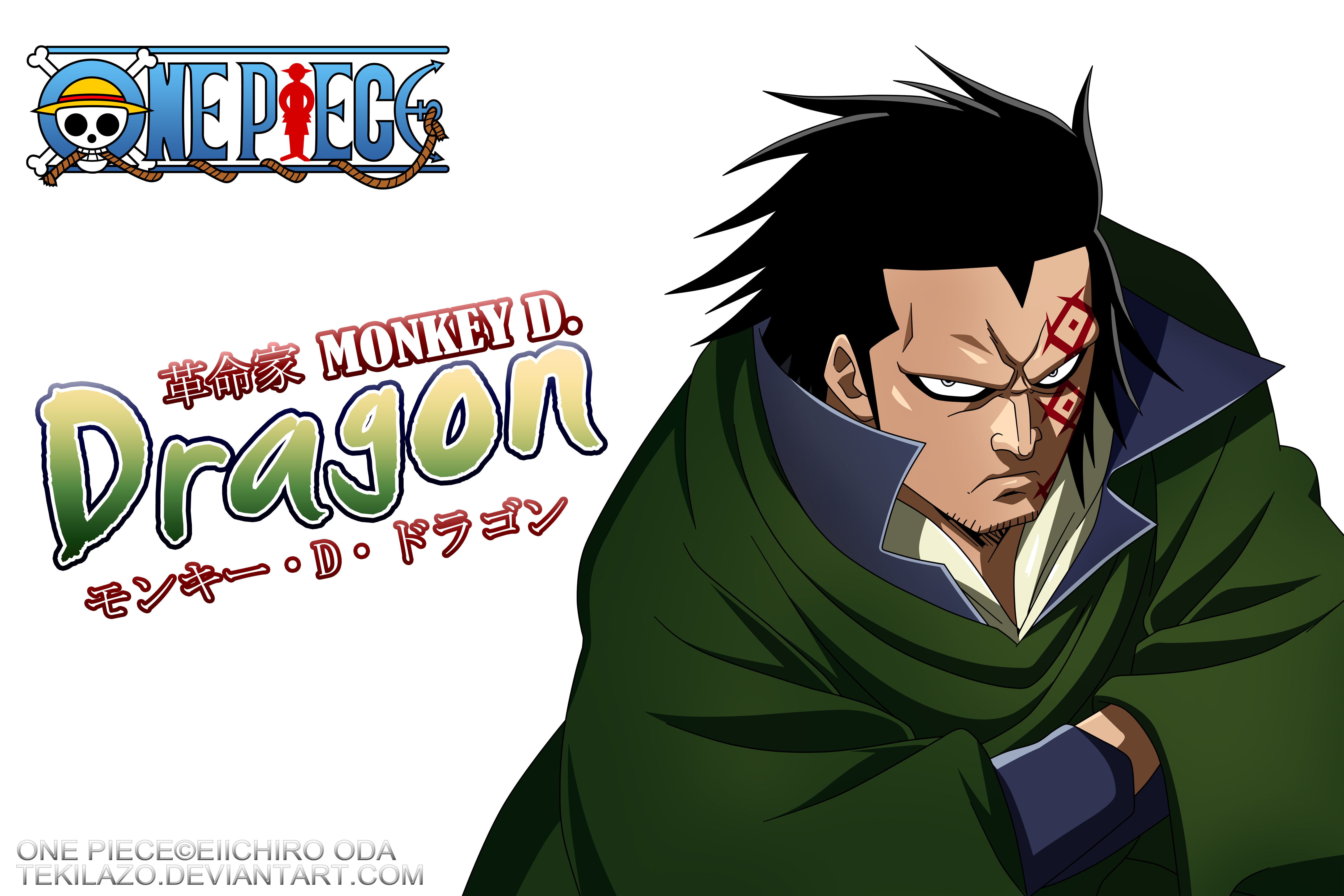 Dragon by luffy1m on DeviantArt  Monkey d dragon, One piece manga, Manga  anime one piece
