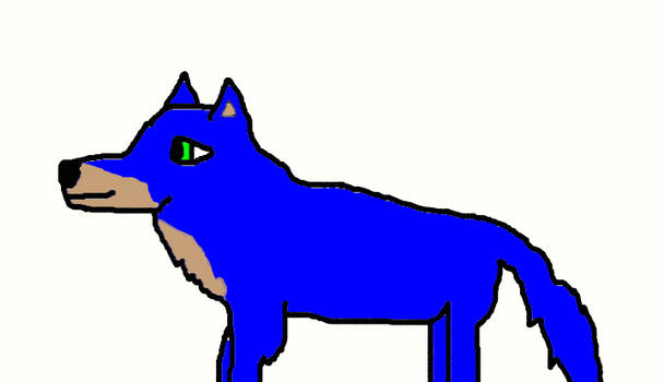 sonic as a wolf