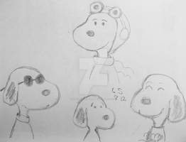 Beagle doodles