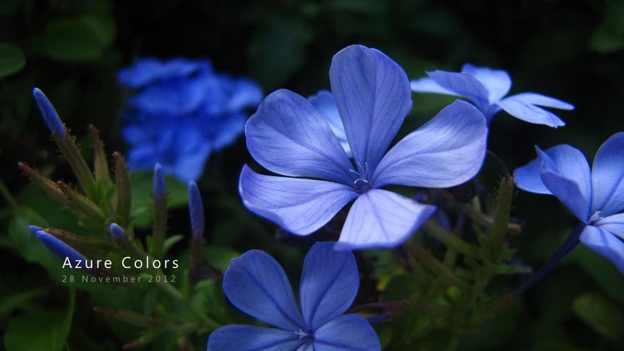 Azure Colors - 400th upload by GraphiteOnPaper on DeviantArt