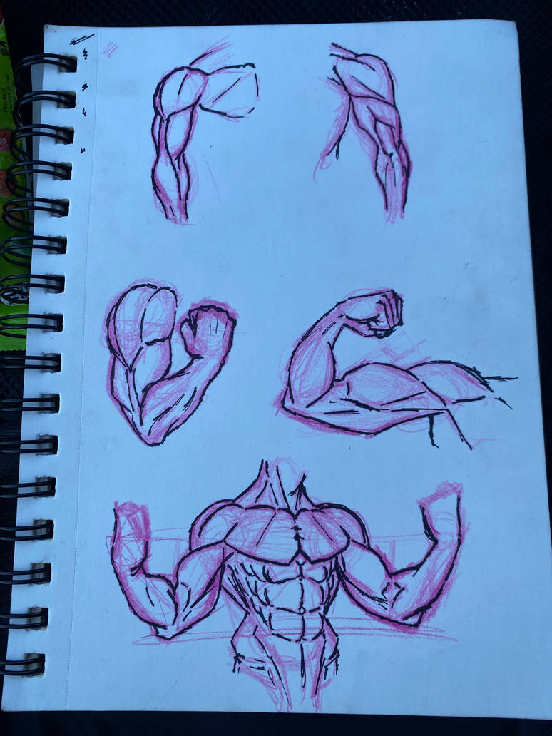 Arm Practice by AverageArtist17 on DeviantArt