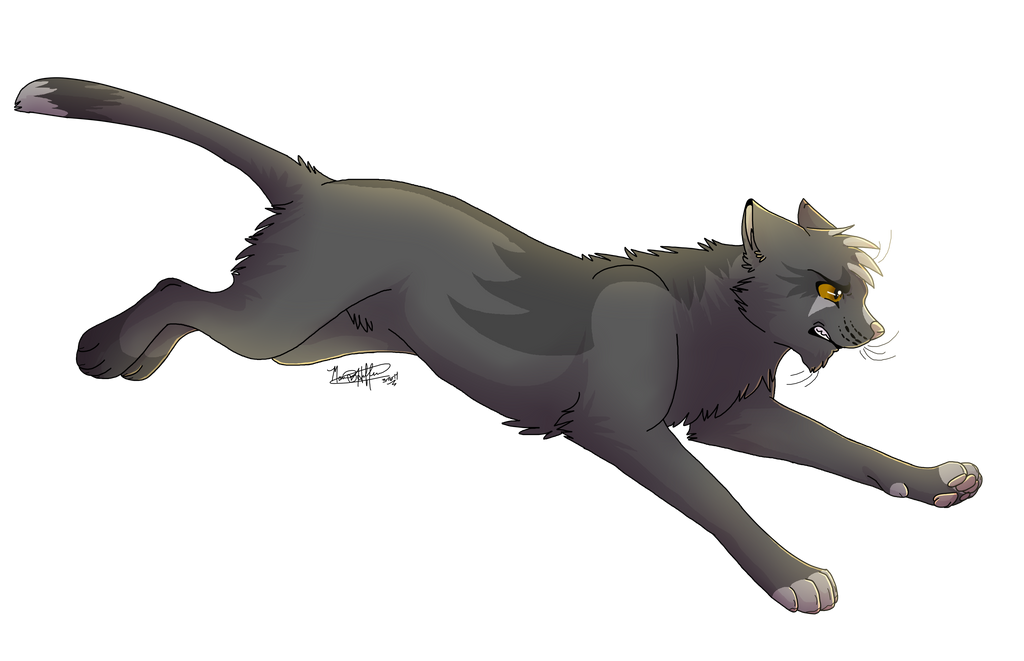 Grey warrior best sale cats