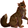 Dark Forest Tigerstar