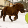 Max beim Ballspielen