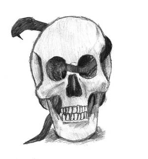 skull