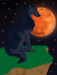 My Wolf -color-