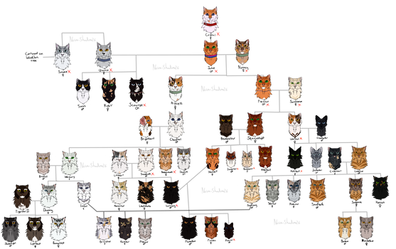 More or less accurate Warriors Cats Family Tree by mathes0n on DeviantArt