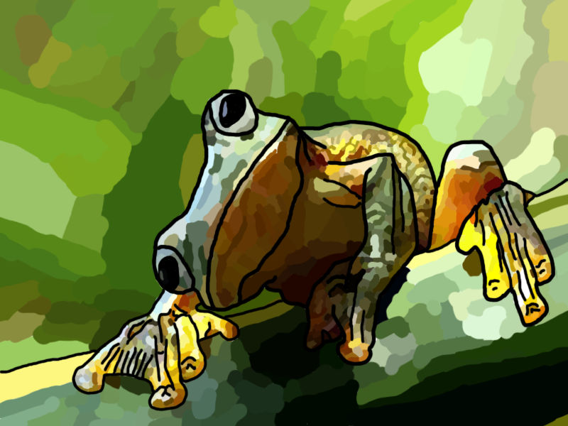 Abstract Frog Drawing frog abstract by Devvult on DeviantArt