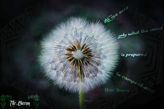 Dandilion Quoted