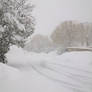 Winter Scenes - Snowy Road