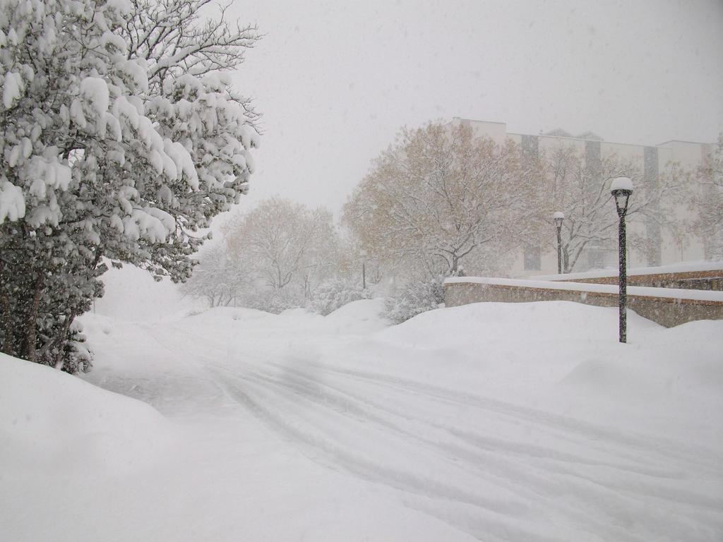 Winter Scenes - Snowy Road