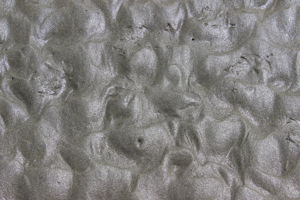 Textures - Wet Sand 2