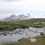 Summer Scenes - Wilcox Pass