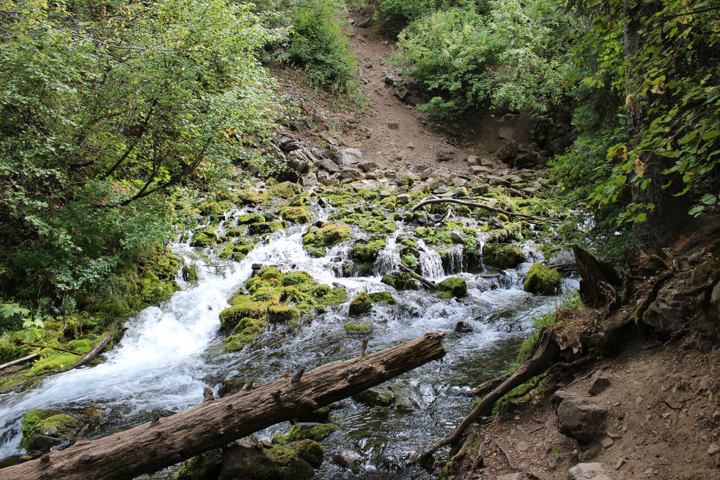 Summer Scenes - River Hike3