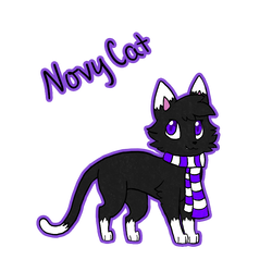 NovyCat Gift