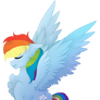 (BC) Rainbow Dash