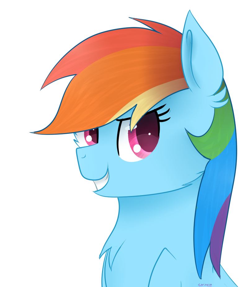 (C) Rainbow Dash