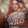 Wild - Bridget Satterlee