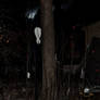 Slenderman is our backyard!