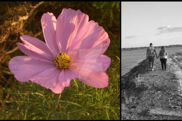 pier of flowers