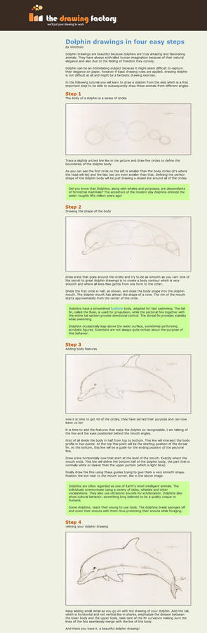 Dolphin drawing tutorial