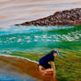 Shallow waters (2) - Acrylic