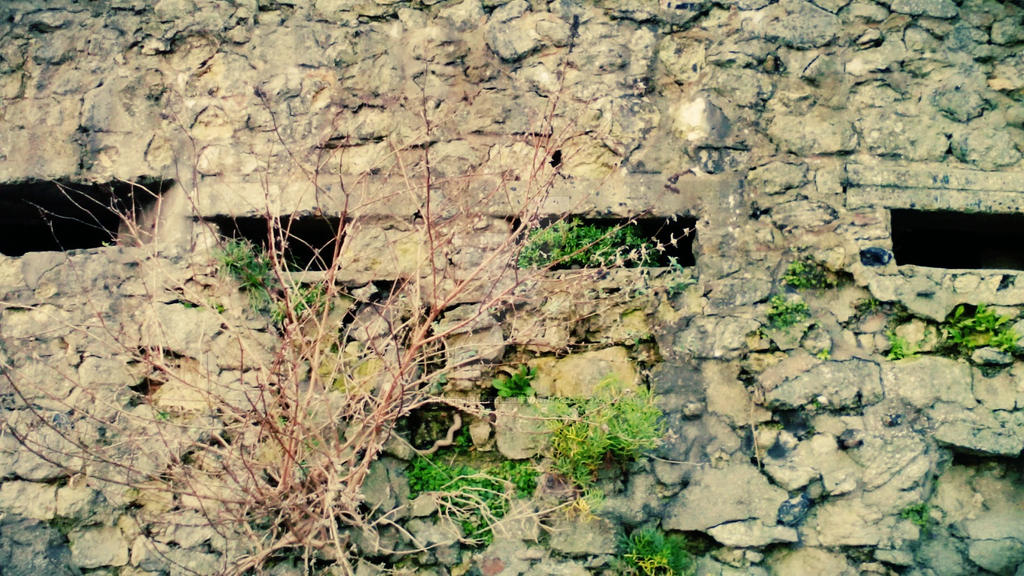 A Bunker o:| Random Pictures from England