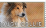 Collie rough stamp