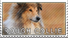 Collie rough stamp