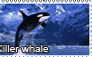 Killer whale stamp