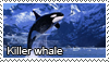 Killer whale stamp by Tollerka