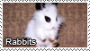 Rabbits stamp