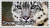 Snow leopard stamp by Tollerka