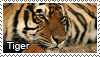Tiger stamp by Tollerka