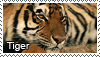 Tiger stamp