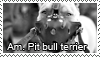 Pit bull stamp by Tollerka