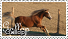Gallop Stamp by Tollerka