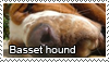 Basset hounds stamp by Tollerka