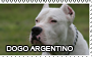 Dogo argentino stamp