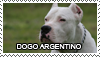 Dogo argentino stamp