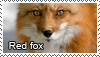 Red fox stamp by Tollerka