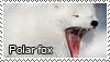 Polar fox stamp