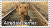 Airedale terrier stamp