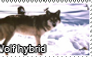 Wolf hybrid stamp