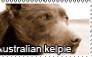 Australian kelpie stamp