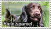 Field spaniel stamp