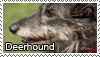 Deerhound stamp