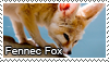 Fennec fox stamp by Tollerka