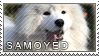 Samoyed stamp by Tollerka