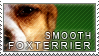 Smooth foxterrier stamp by Tollerka